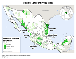 images\MX\Municipality\Mexico_Sorghum_preview.png